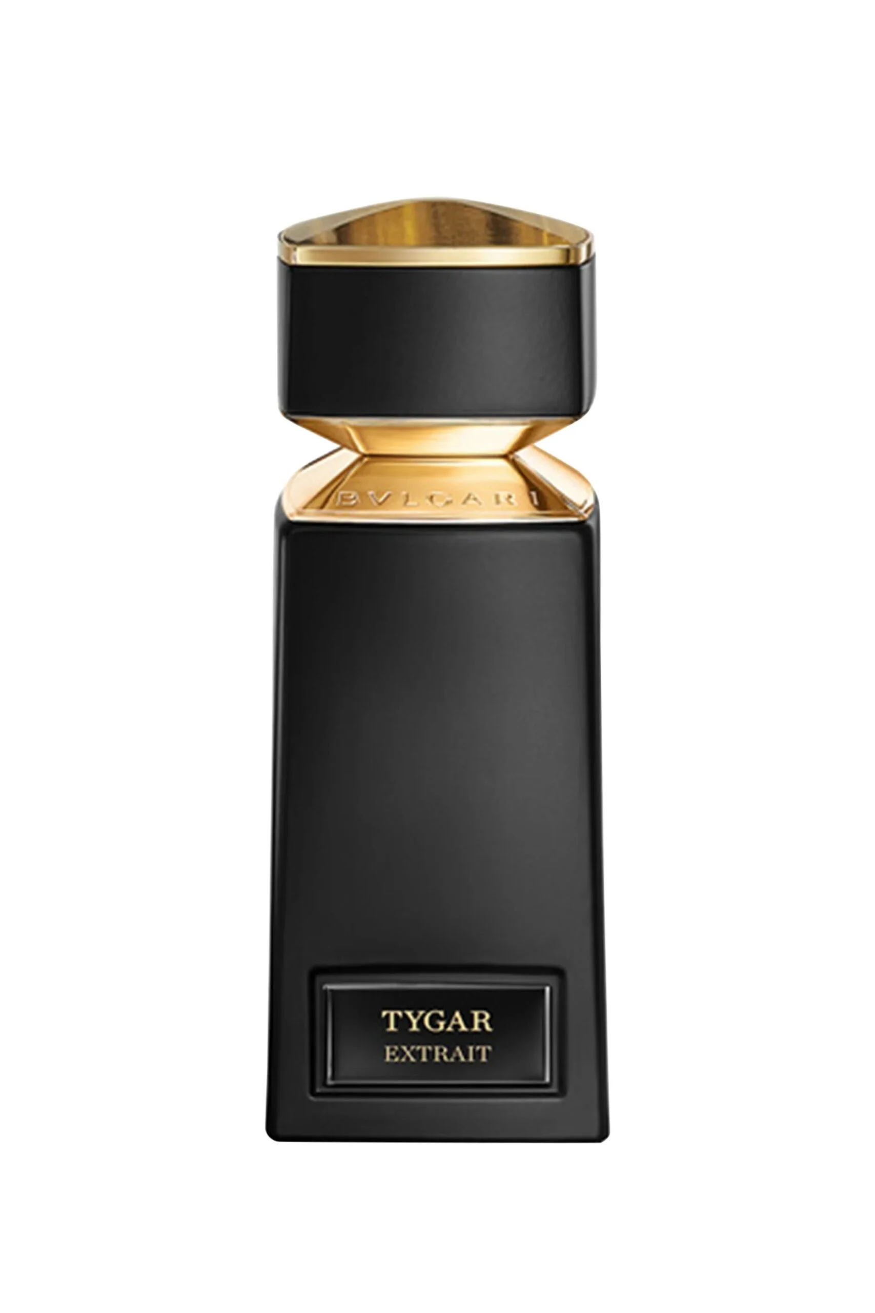 tygar-extrait-scaled